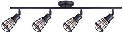 CANARM IT611A04GPH Otto 4 Light Track Rail Graphite with Metal Cage Shades