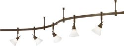 Tiella 800RAL5CWZ, Casual Track Lighting Kits, 100 watt Flexible Track Light System, Bronze