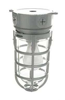 Woods Vandal Resistant Security Light With Ceiling Mount (150W Incandescent Bulb, Silver)