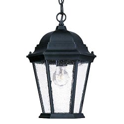 Acclaim 5206BK/SD Richmond Collection 1-Light Outdoor Light Fixture Hanging Lantern, Matte Black