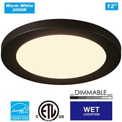 Cloudy Bay 12 inch Ceiling Light LED Flush Mount,17W Dimmable,3000K Warm White,1100lm 120W Incan ...