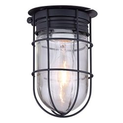 Outdoor Caged Light Barn Ceiling Exterior Wall All Weather with Cage, Black