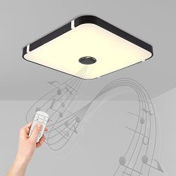 NATSEN 40W LED Ceiling Light with Remote Control And Bluetooth Speaker for Living Room, Bedroom, ...