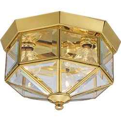 Progress Lighting P5788-10 Octagonal Close-To-Ceiling Fixture with Clear Bound Beveled Glass, Po ...