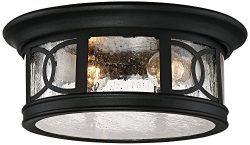 Capistrano 12″ Wide Black Outdoor Ceiling Light