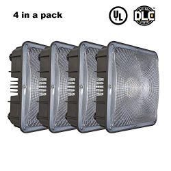 Ccclighting LED Canopy Light Outdoor 60W 5000K Daylight Nature White 6000Lumens Security Waterpr ...