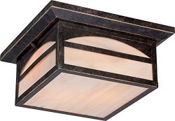 Nuvo Lighting 60/5656 Canyon Flush 2 Light 60-watt Outdoor Close To Ceiling Porch and Patio Ligh ...