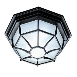 Acclaim 2002BK Flush Mount Collection 2-Light Ceiling Mount Outdoor Light Fixture, Matte Black