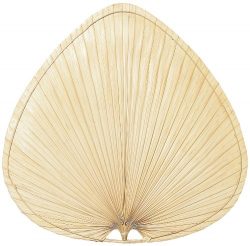 Fanimation ISP1 Blade Wide Oval, 22-Inch, Palm, Set of 5