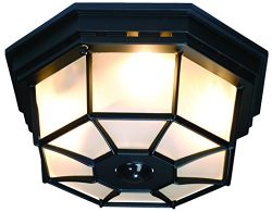 Heath Zenith HZ-4300-BK-B 360-Degree Motion-Activated Octagonal Ceiling Light, Black