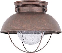 Sea Gull Lighting 8869-44 Sebring One-Light Outdoor Flush Mount Ceiling Light with Clear Seeded  ...