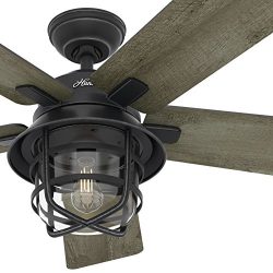 Hunter Fan 54″ Weathered Zinc Outdoor Ceiling Fan with a Clear Glass LED Light Kit and Rem ...