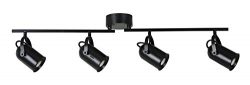 Catalina 19192-000 4-Light LED Adjustable Fixed Track Luminaire