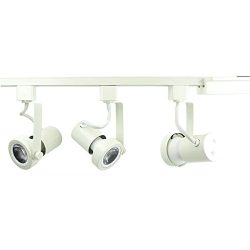 Direct-Lighting 3-Light PAR20 LED Gimbal Ring Track Lighting Kit – White – Bulbs Inc ...