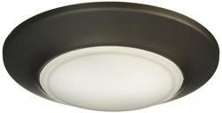 Westinghouse 6322000 Small Led Indoor/Outdoor Dimmable Traditional Surface Mount Wet Location, O ...