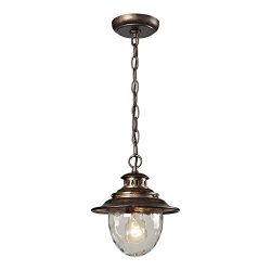 Elk 45031/1 Searsport 1-Light Outdoor Pendant with Water Glass Diffuser, 8 by 10-Inch, Regal Bro ...