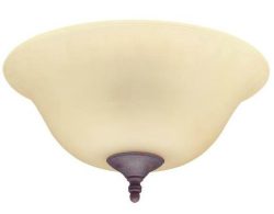 Hunter Fan Company Hunter Fan Company 28640 12-Inch Bowl Light – Amber with Weathered Bron ...