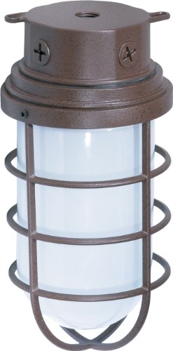 Nuvo Lighting SF76/627 Industrial Style Large Heavy Duty Aluminum Durable Outdoor Close to Ceili ...