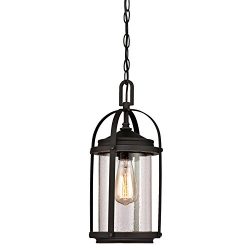 Westinghouse 6339400 Grandview One-Light Outdoor Pendant, Oil Rubbed Bronze Finish with Highligh ...