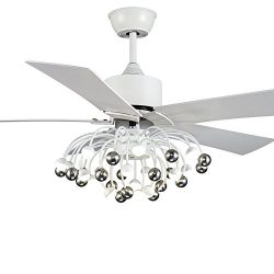 RainierLight Modern Ceiling Fan LED Light 5 Reversible Blades Remote Control Creative Art Decora ...