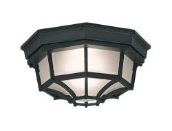 Designers Fountain 2067-BK Value Collection Ceiling Lights, Black