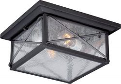 Nuvo Lighting 60/5626 Wingate Flush 2 Light 60-watt A19 Outdoor Close to Ceiling Porch and Patio ...