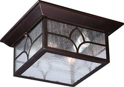 Nuvo Lighting 60/5646 Stanton Flush 2 Light 60-watt A19 Outdoor Close to Ceiling Porch and Patio ...