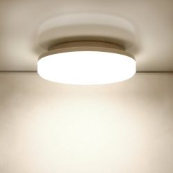 Aglaia LED Ceiling Lights, 24W 12-Inch Flush Mount Ceiling Lamp with 2000 Lumens, 4500K Daylight ...