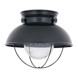 Sea Gull Lighting 886991S-12 Sebring LED Outdoor Ceiling Flush Mount with Clear Seeded Glass Dif ...