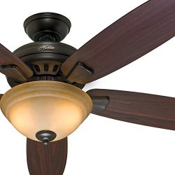 Hunter Fan 54″ ENERGY STAR Ceiling Fan in Premier Bronze with Light Kit and Remote Control ...