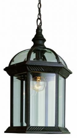 Trans Globe Lighting 4183 RT Outdoor Wentworth 17.5″ Hanging Lantern, Rust