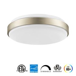 LVWIT LED Flush Mount Ceiling Light, 11 Inch, 14W (100W Equivalent), Dimmable 1000 Lumens, 3000K ...