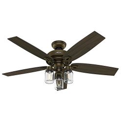 Hunter Crown Canyon 52 in. Indoor Regal Bronze Ceiling Fan