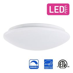 IN HOME 11-inch LED Flush mount Ceiling Light MS Series 20W (100W equivalent), Dimmable, 5000K ( ...