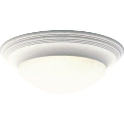 Progress Lighting P3697-30 3-Light Close-To-Ceiling Fixture with Etched Alabaster Style Glass Tw ...