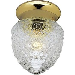 Progress Lighting P3750-10 Clear Patterned Glass KO For Switch, Polished Brass