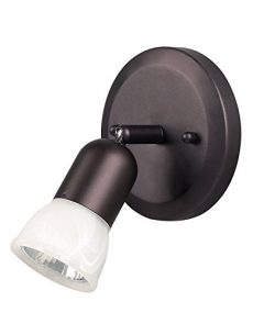 1 Bulb Ceiling/Wall Light, Oil Rubbed Bronze