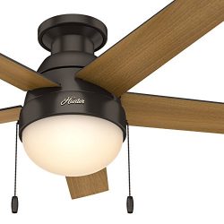 Hunter 46″ Contemporary Low Profile Ceiling Fan with Light Kit in Premier Bronze (Certifie ...