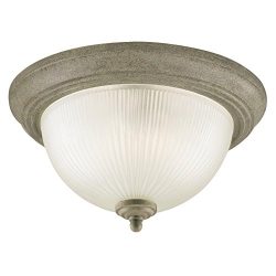 Westinghouse 6436100 2 Light Flush Mount Ceiling Light