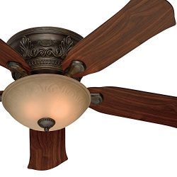 Hunter Fan 52-Inch Low Profile Roman Bronze Finish Ceiling Fan with Tea Stain Glass Light Kit (C ...