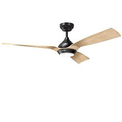 Reiga 52-Inch Downrod Mount Ceiling Fan with Light & Remote,3 Hand-Painted Blade Suit for In ...