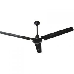 Q Standard 11560 Ceiling Fan