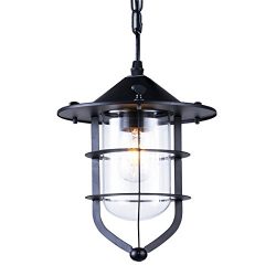 Pendant lights, ZHMA Industrial Vintage Style hanging lamp Ceiling Lighting use Glass House cage ...