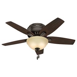 Hunter 51081 Newsome Ceiling Fan with Light, 42″/Small, Premier Bronze