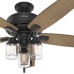 Hunter Fan 52 in. Rustic Ceiling Fan with Clear Glass LED Light Kit, Natural Iron Finish (Certif ...