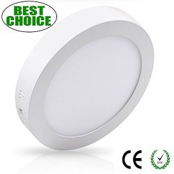 W-LITE 6.69 Inch 12W LED Panel Wall Ceiling Down Lights, Panel Lamp Mount Surface, Round, 5000K/ ...