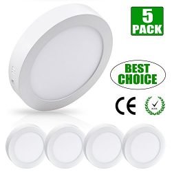 W-LITE 4.72 Inch Flush Mount LED Ceiling Light 6W Round Surface Panel Wall Lamp5000K/Daylight Wh ...