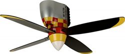 Craftmade WB448GG4 Ceiling Fan with Blades Included, 48″