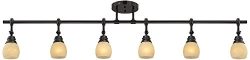 Pro Track Elm Park Collection Bronze 6-Light Fixture