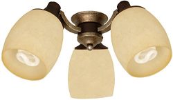 Craftmade LK47CFL-AG 3 Light Universal Fan Light Kit